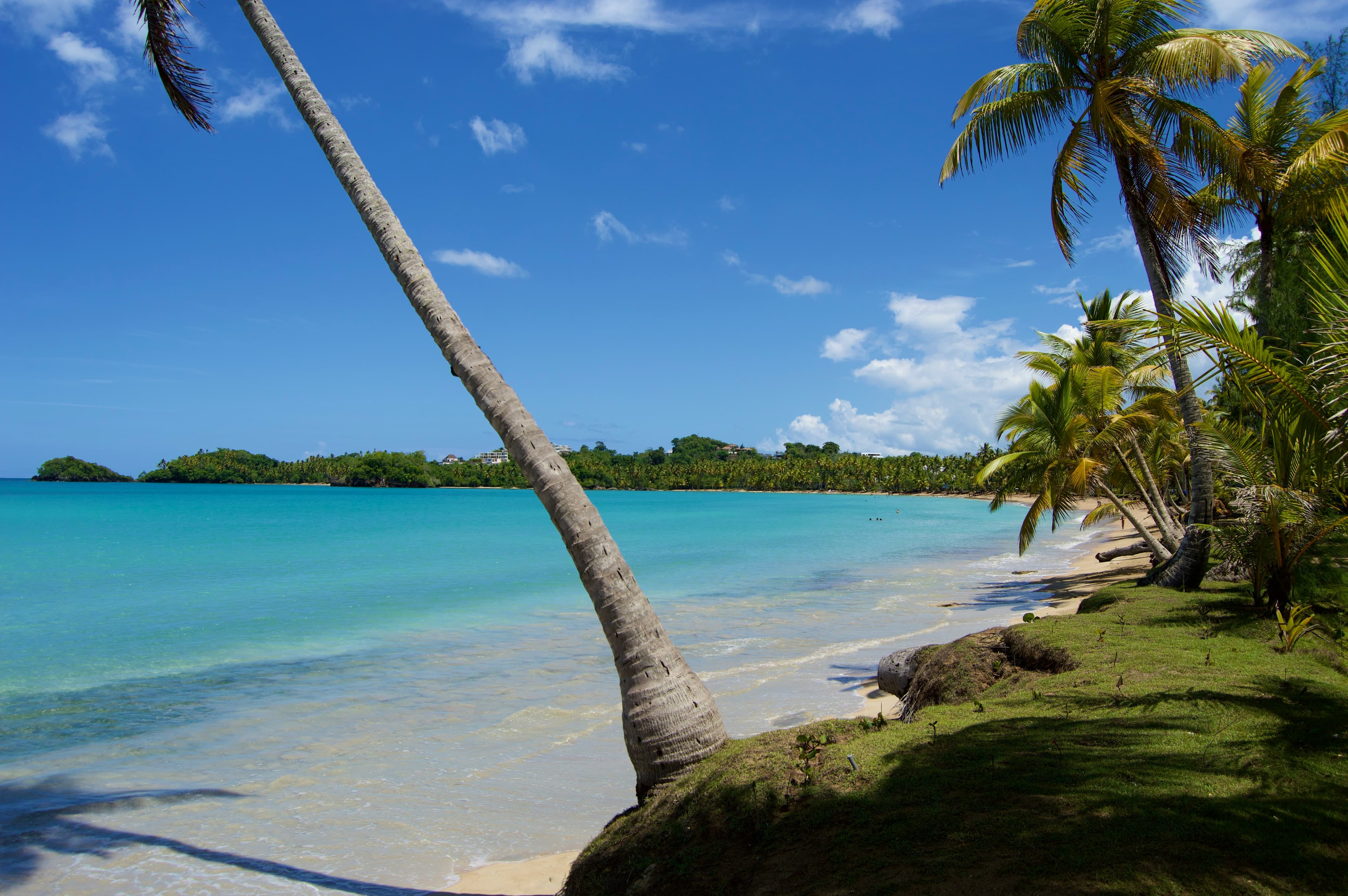 Beach background